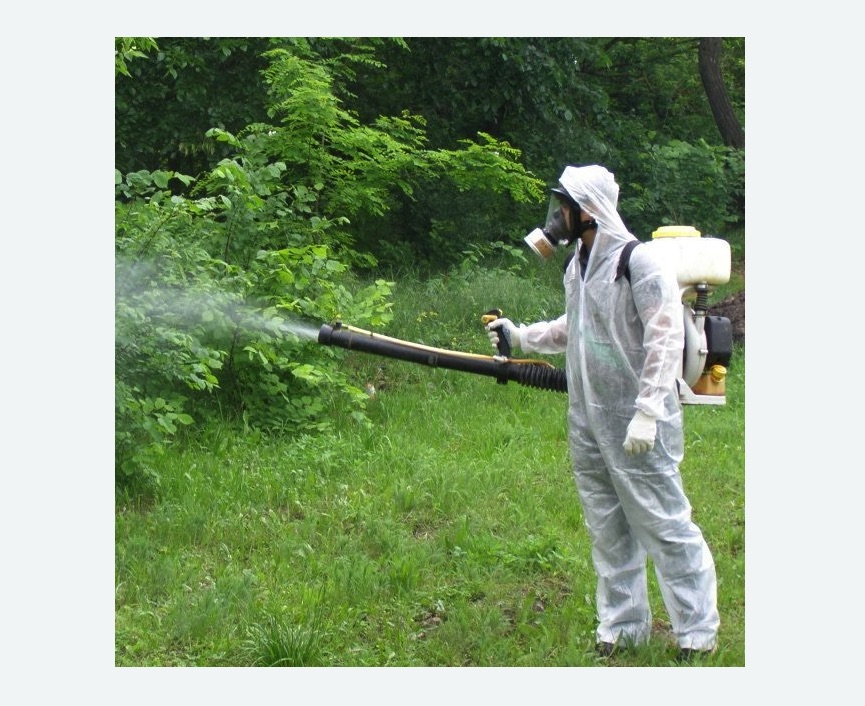 обработка территории от клещей в Плавске