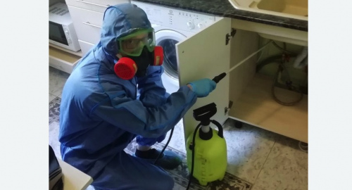 Уничтожение муравьев в квартире. Плавск