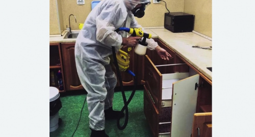 Уничтожение насекомых в квартире. Плавск