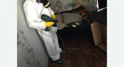 Обработка квартир от насекомых в Плавске