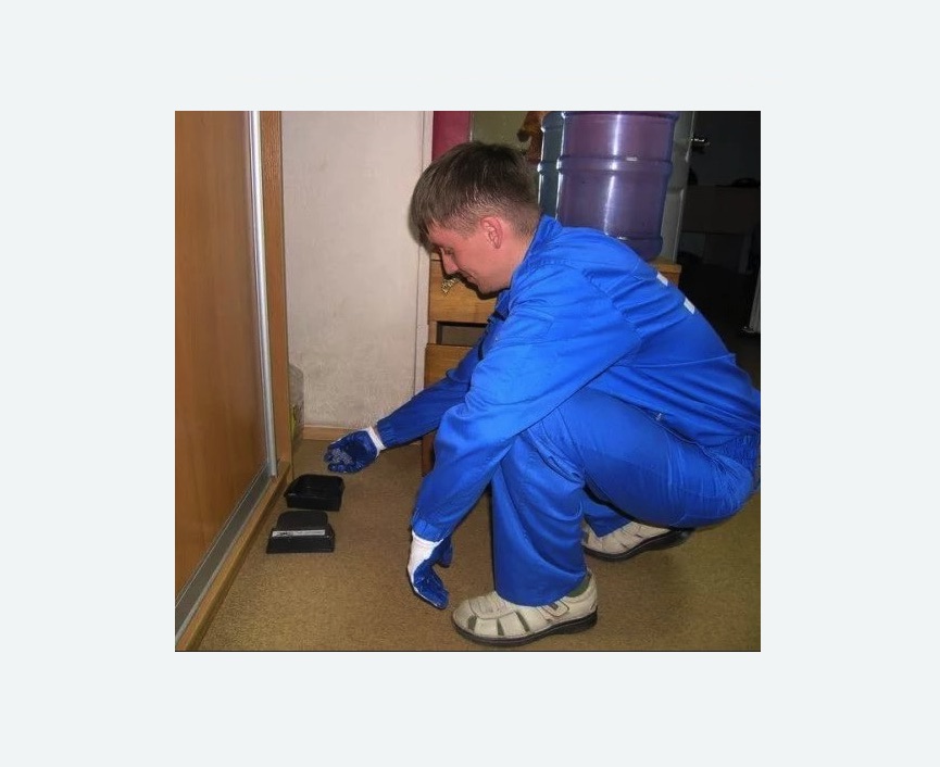 Дератизация крыс в Плавске