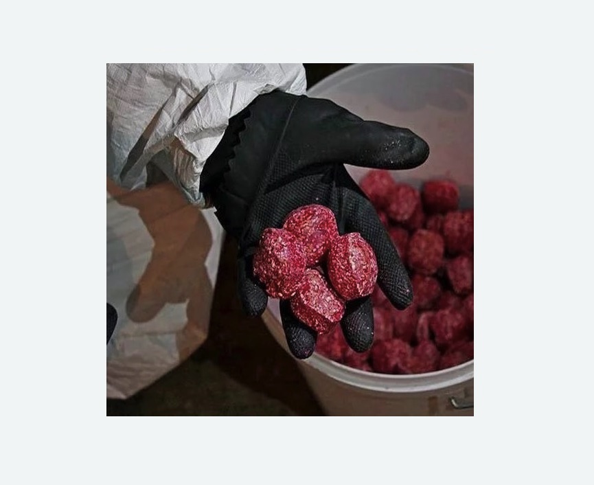 Обработка от крыс в Плавске