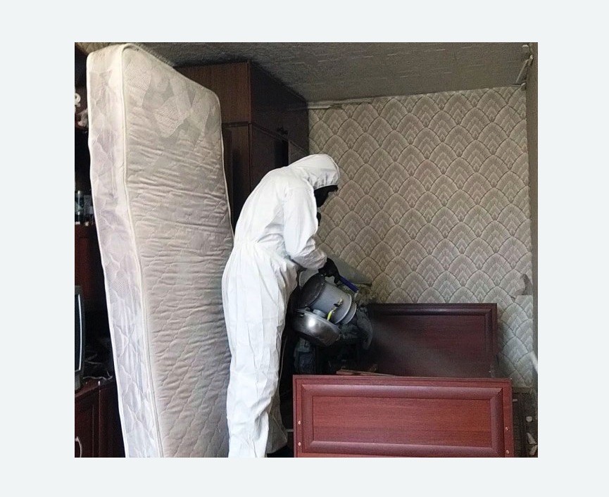 дезинфекция от клопов в Плавске