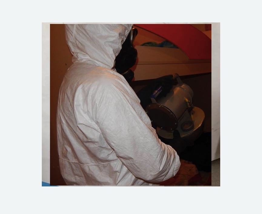 Дезинфекция от муравьев в Плавске