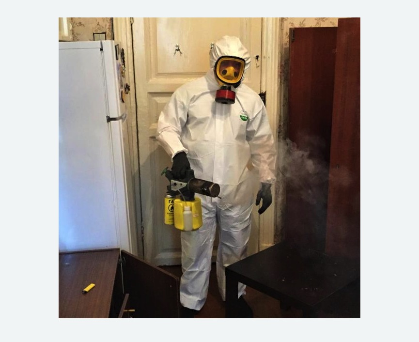 уничтожение муравьев в квартире в Плавске